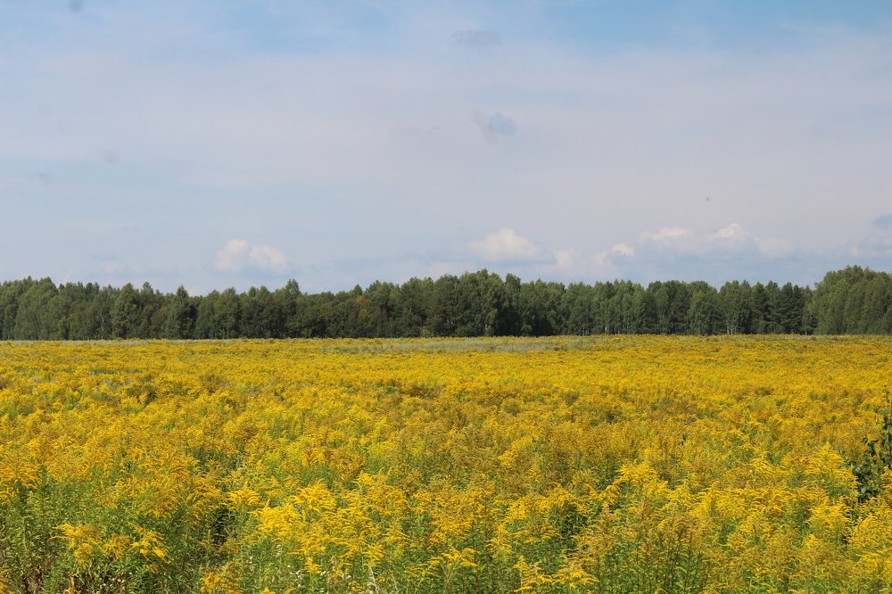 Photograph by Татьяна Фоевцева