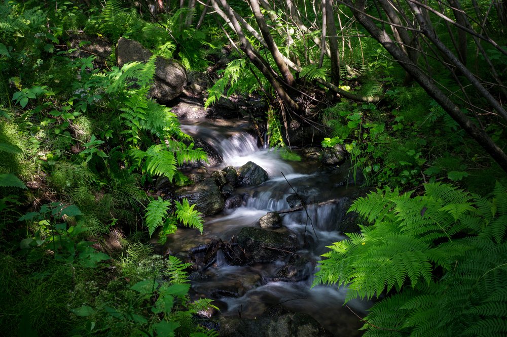 Photograph by Дмитрий Цыпляев