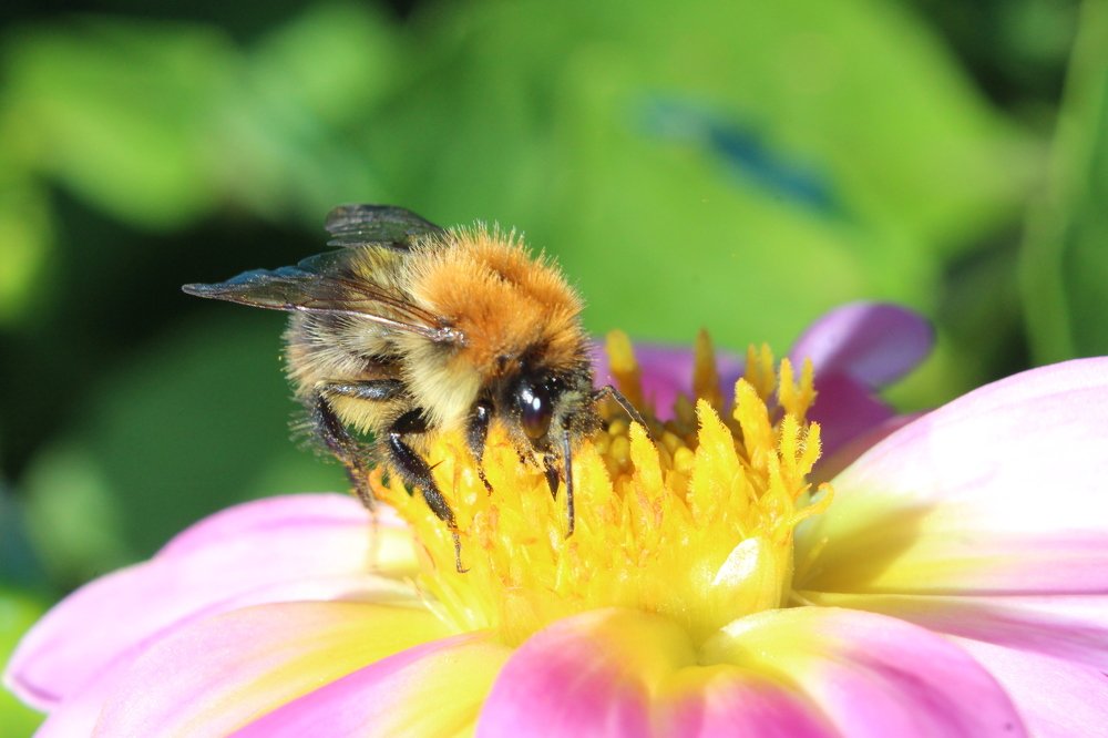 Photograph by Татьяна Фоевцева