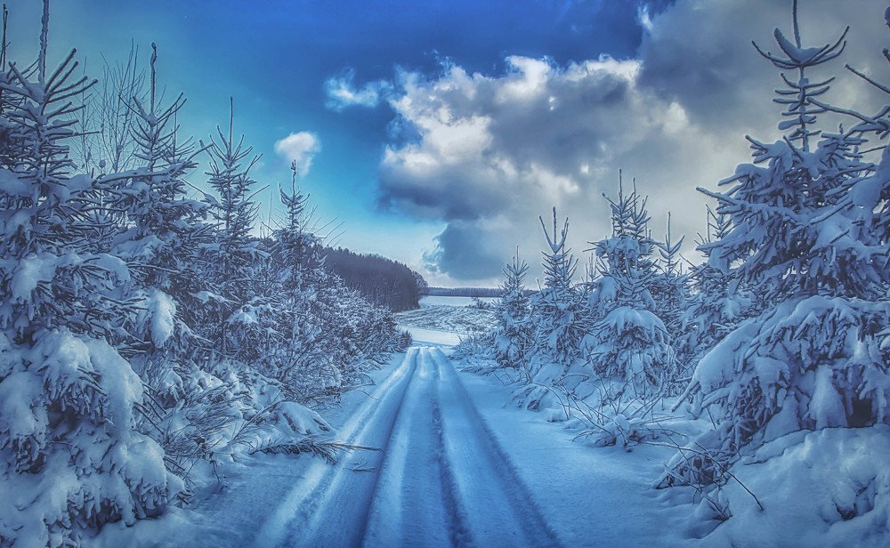 Photograph by Guy Krier