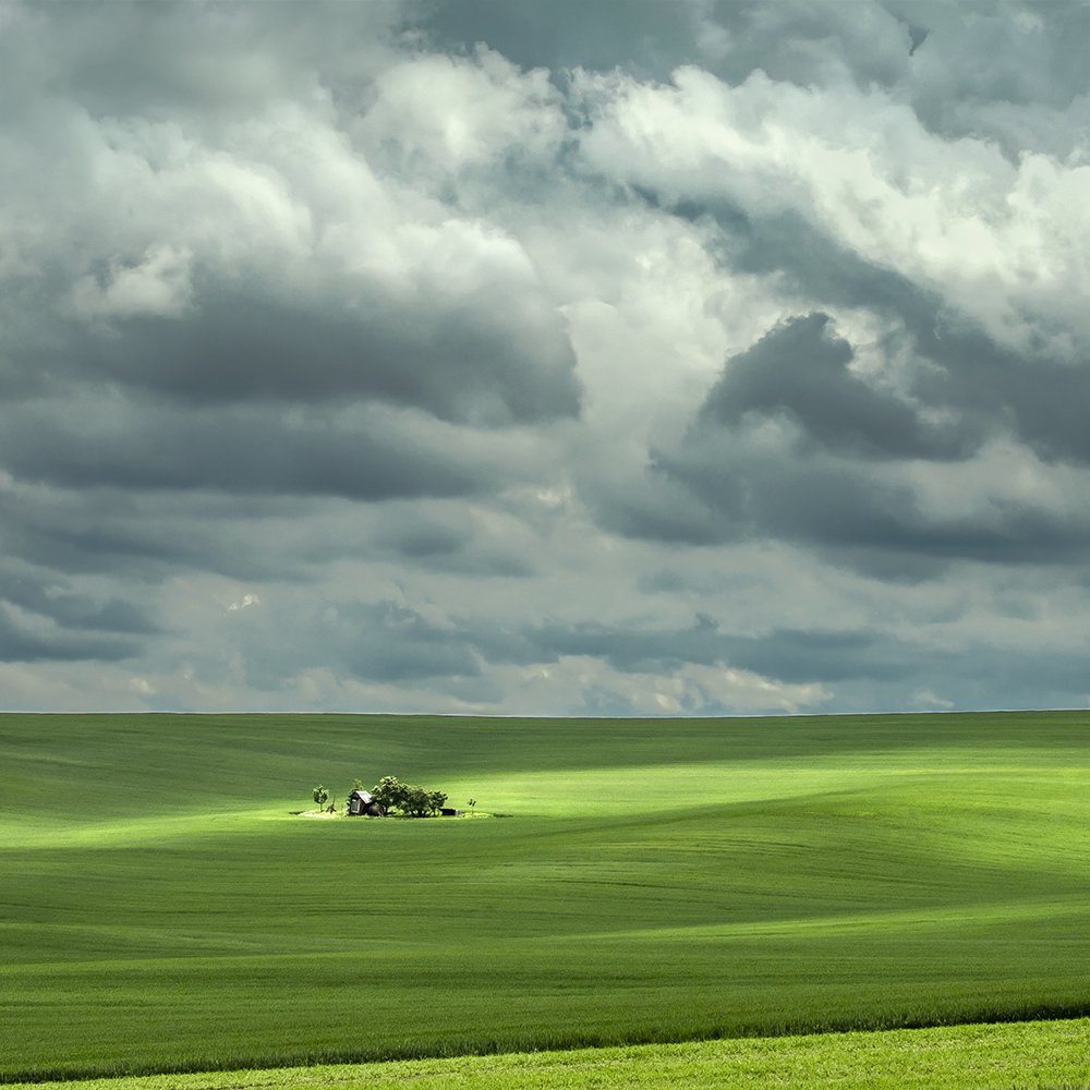 Photograph by Dóra Csörögi