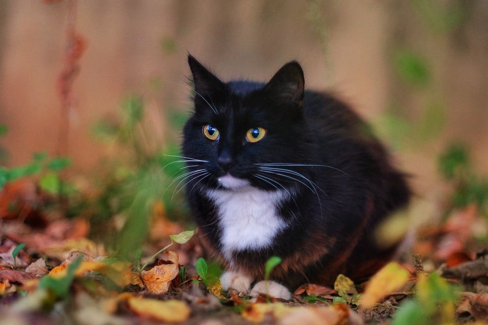 Photograph by Реутская Юлия