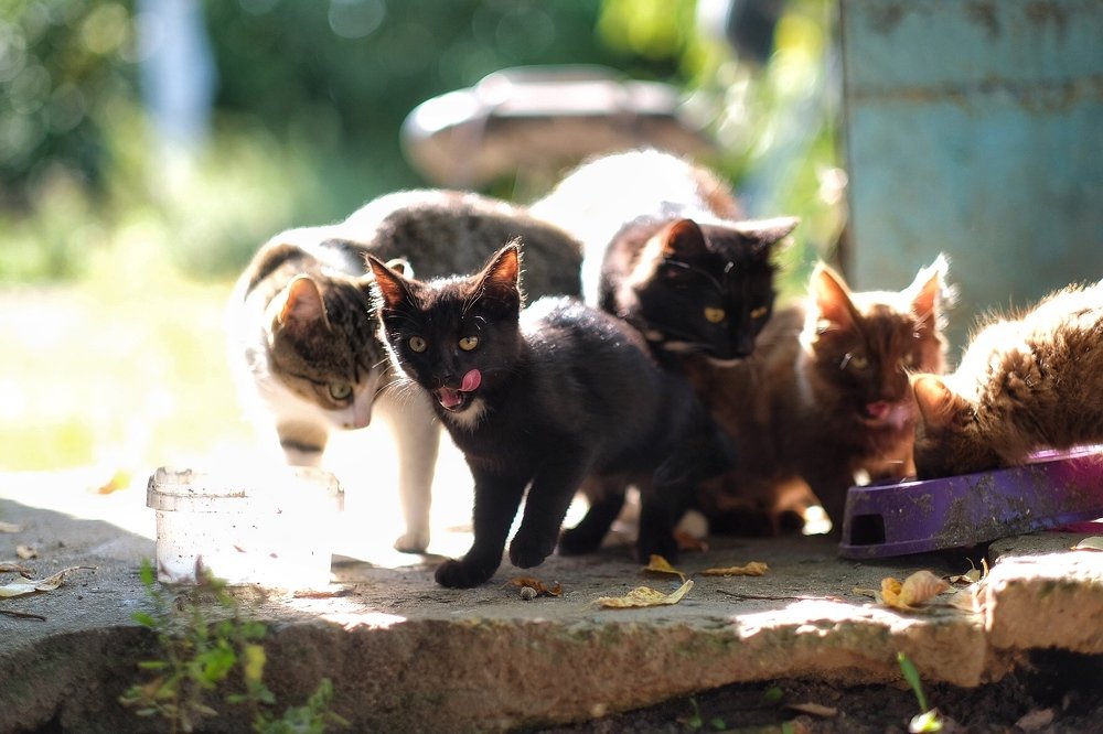 Photograph by Реутская Юлия