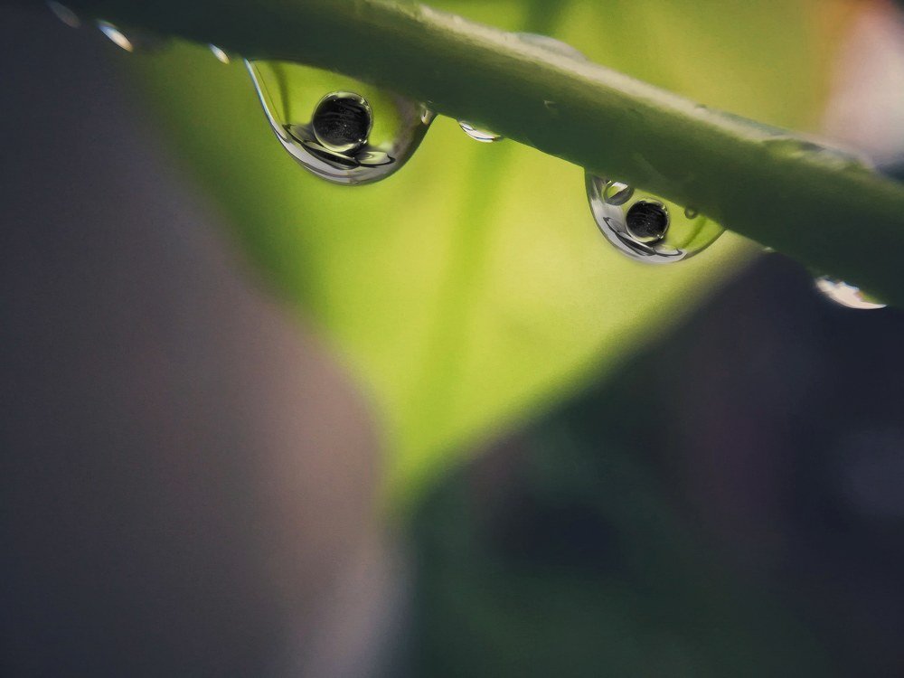 Photograph by SkRajesh