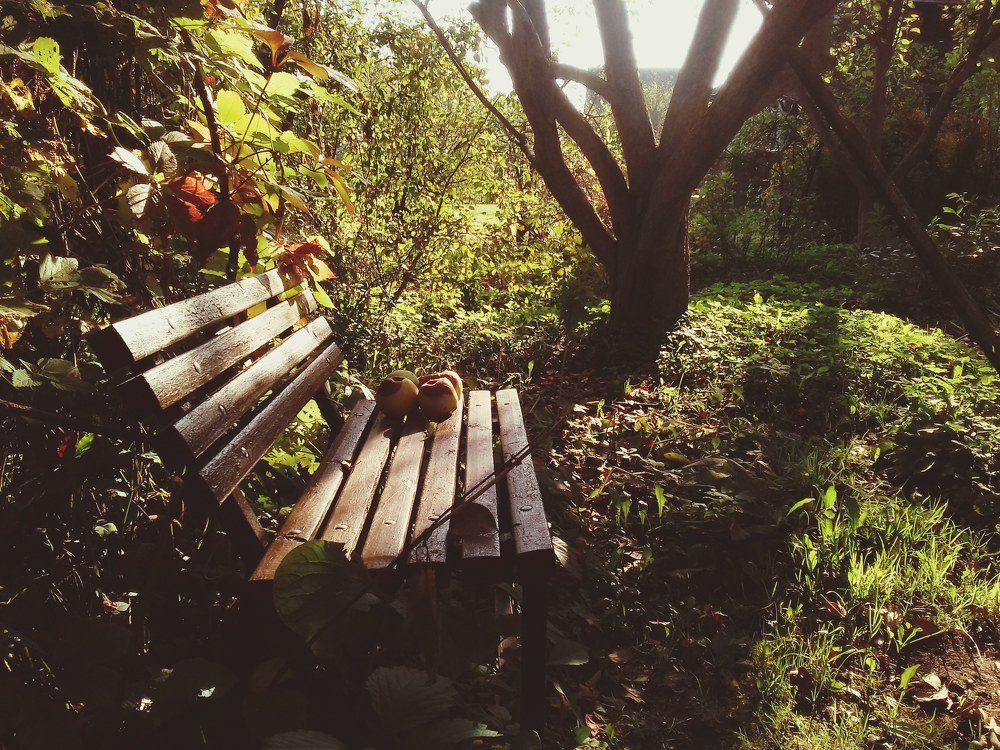 Photo #3598752