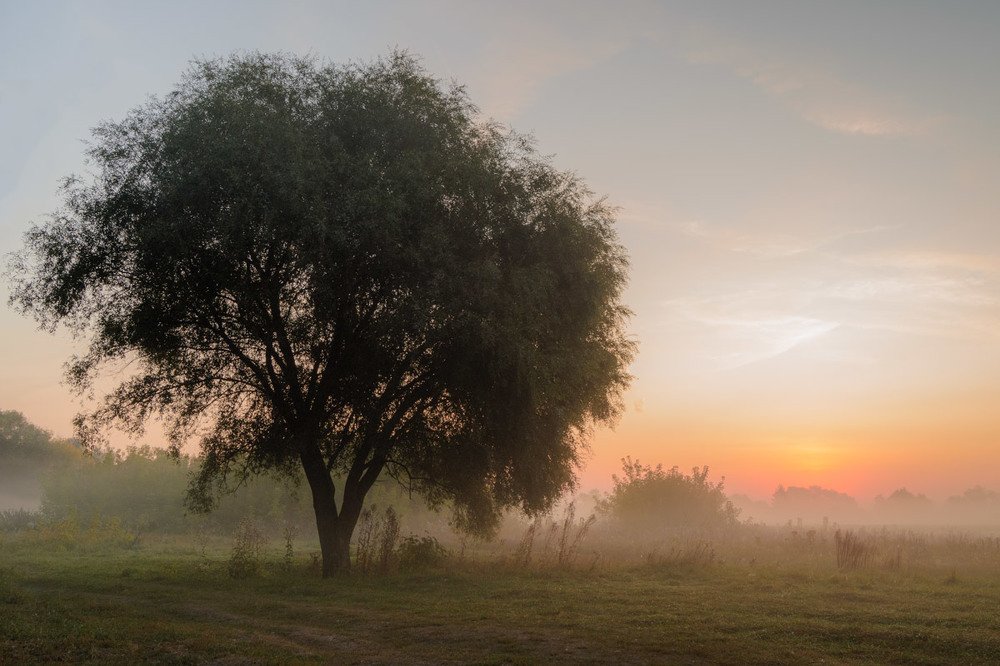 Photograph by Павел Ступак