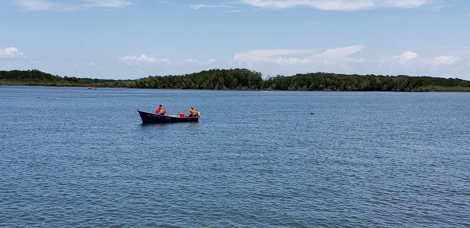 Photo #3598762