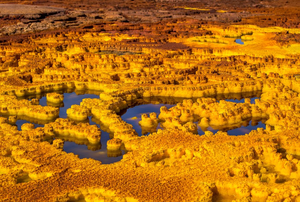 Photograph by Liza Kirina