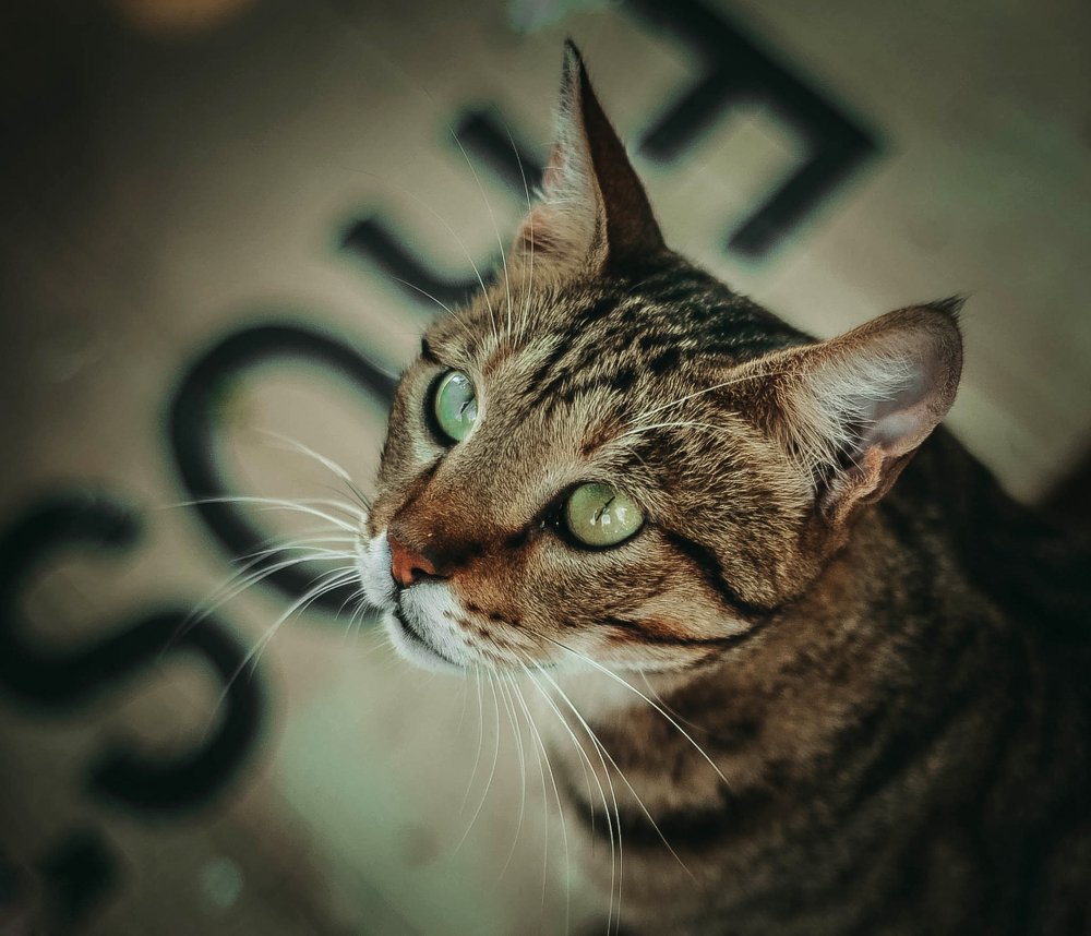 Фотография автора Eduard Suleimanov