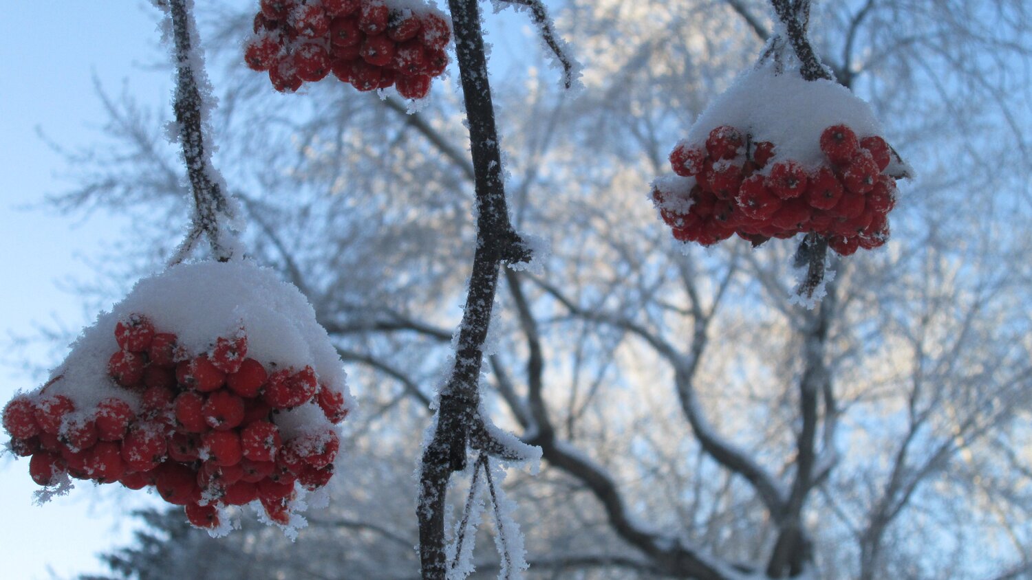 Photo #3598815