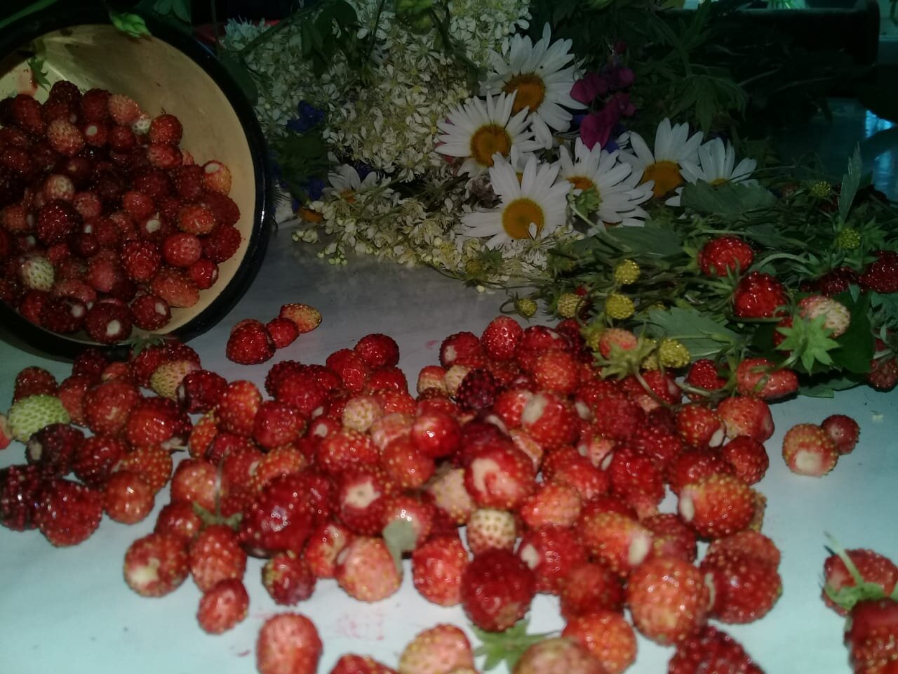 Photo #3598819
