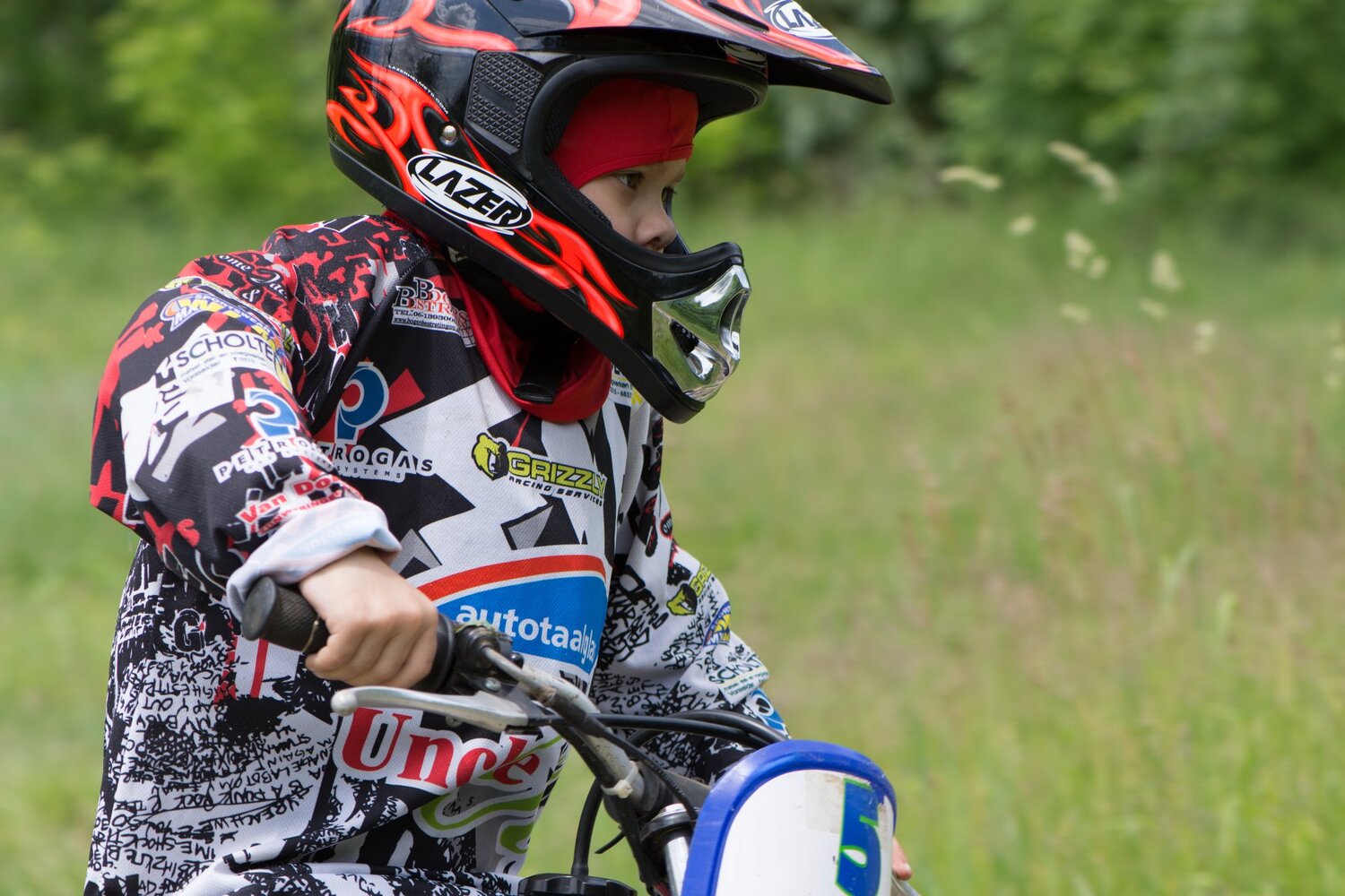 Photo #3598854