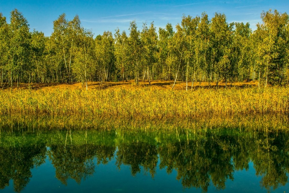 Желтеющий берег