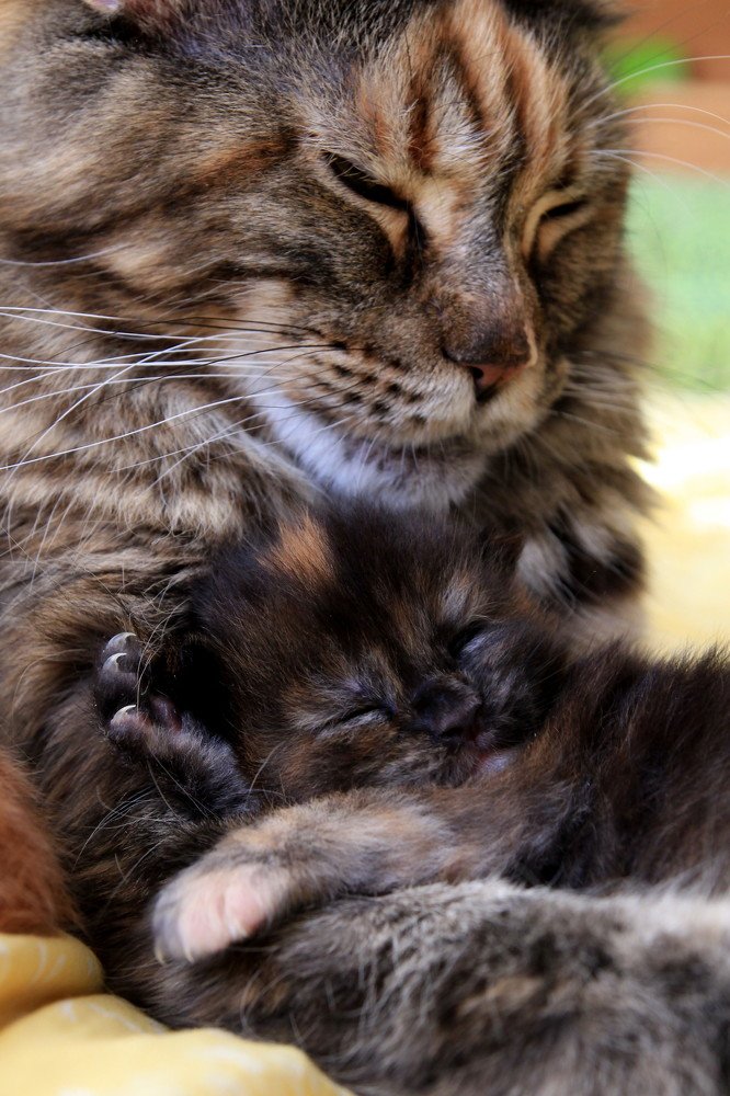 Photograph by Tereza Cesalova