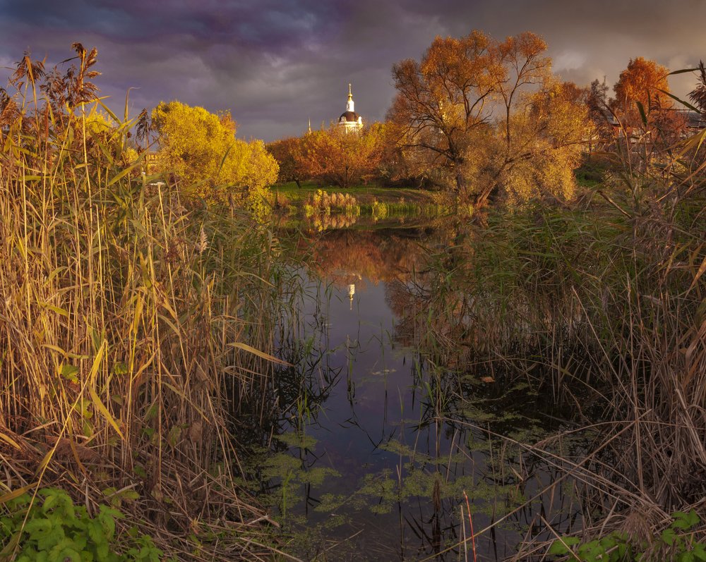 Осенним днем