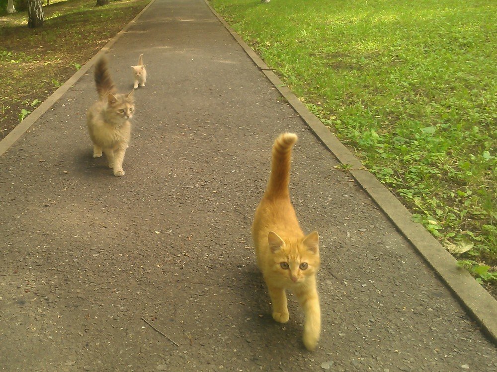 Photograph by Анатолий Зеленский