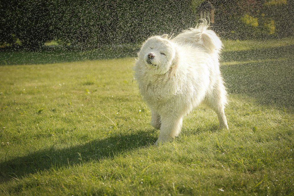 Photograph by Мария Самохина