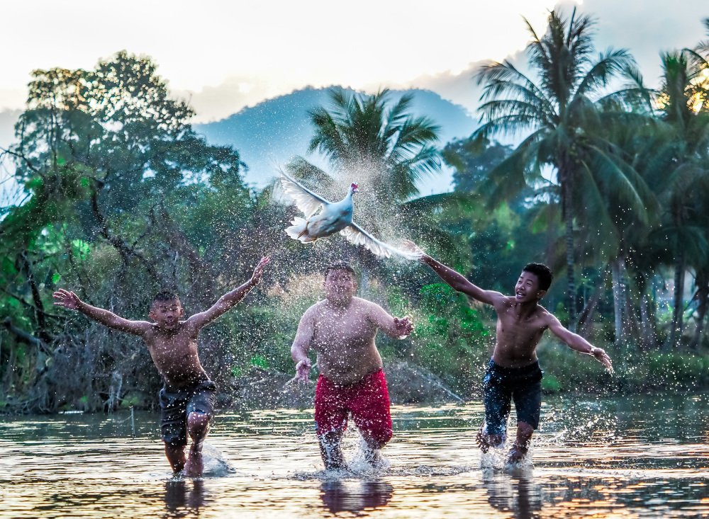 Photograph by Sai Lian Ong