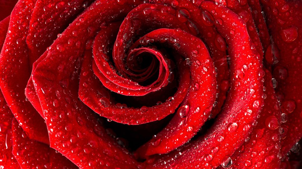 A symbol of divine mystery