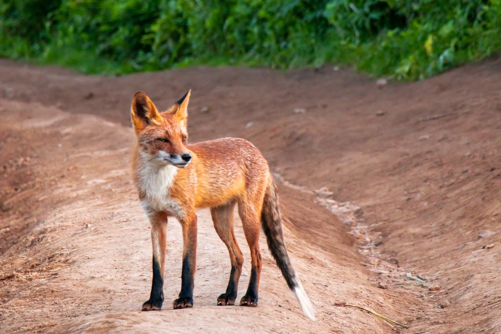 Photograph by Evgeniia Iakimenko