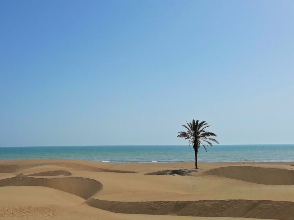 The sea and the desert
