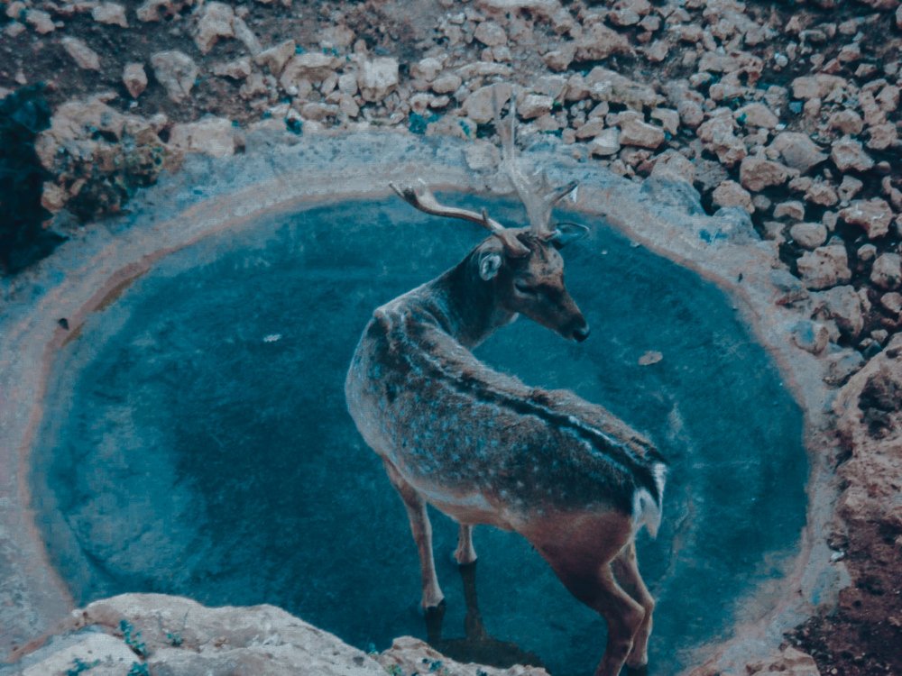 Photograph by Олег Мухачев