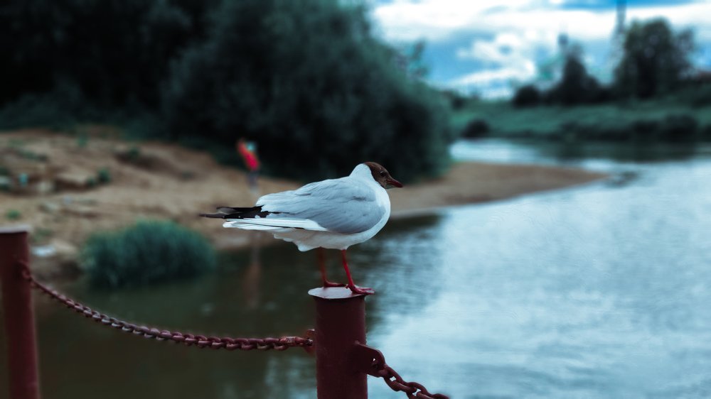 Photograph by Олег Мухачев