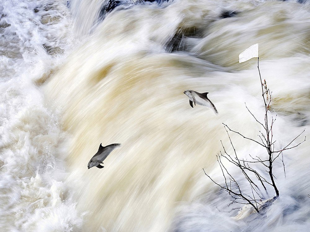 Photograph by Bekir Yesiltas