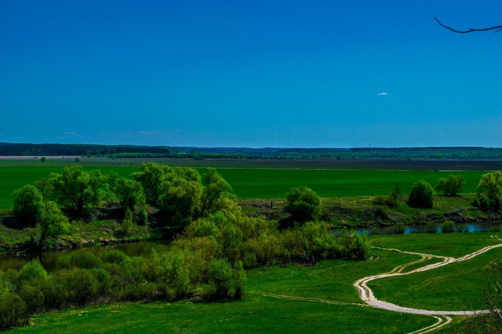 Зелёный ландшафт