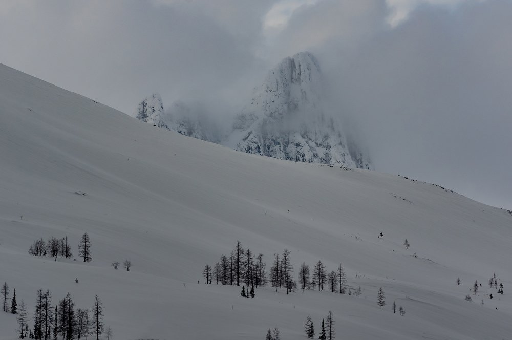 Photograph by Сергей Пашнов