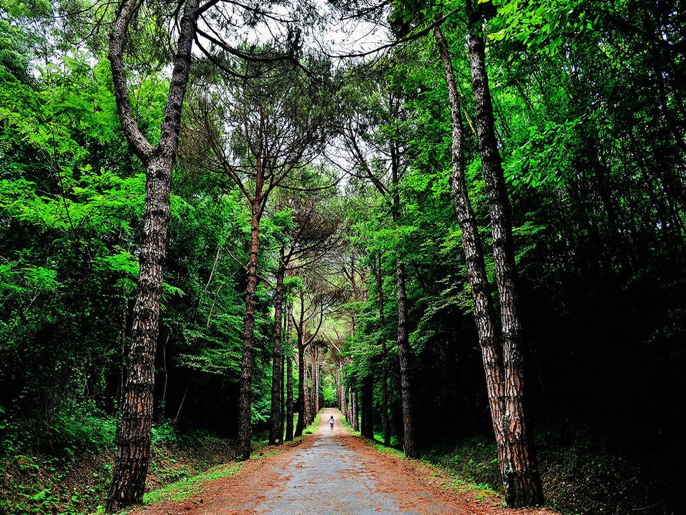 Photograph by Bekir Yesiltas