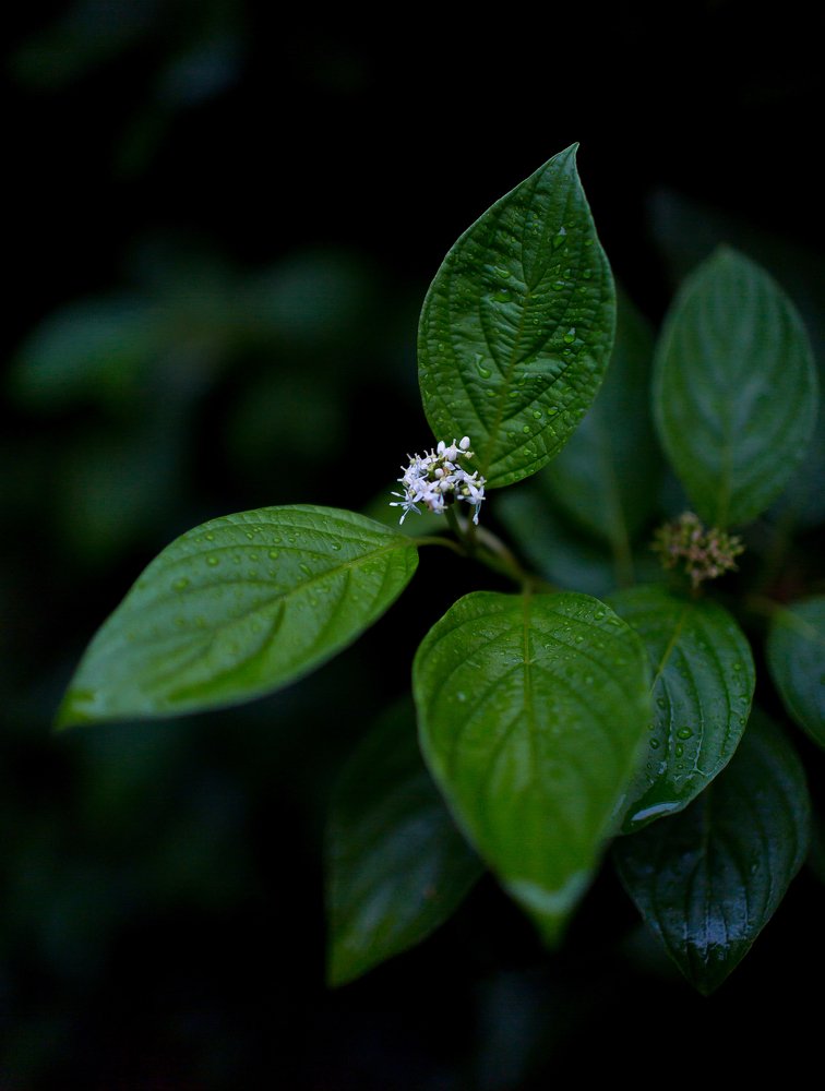 Photograph by Monika Grudzińska