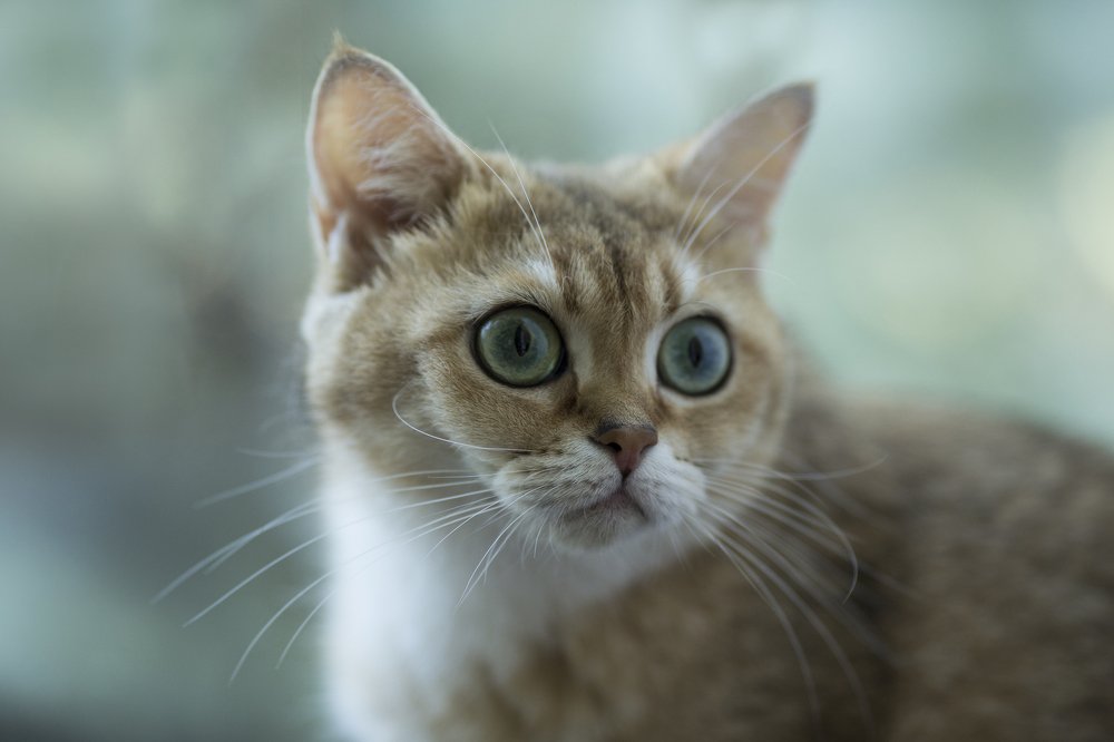 Photograph by Екатерина Фокина