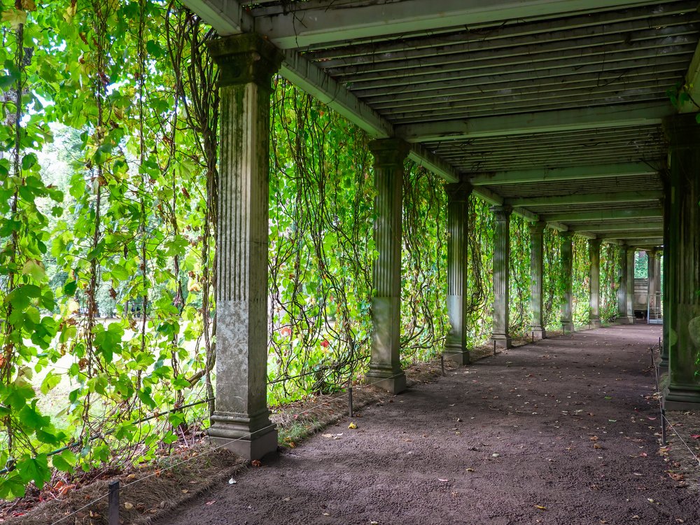 Photograph by Evgeniia Iakimenko