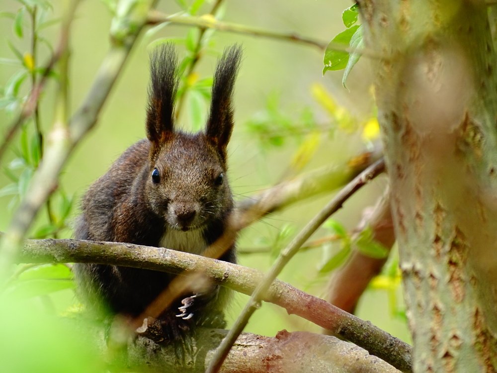 I see you,you see me.