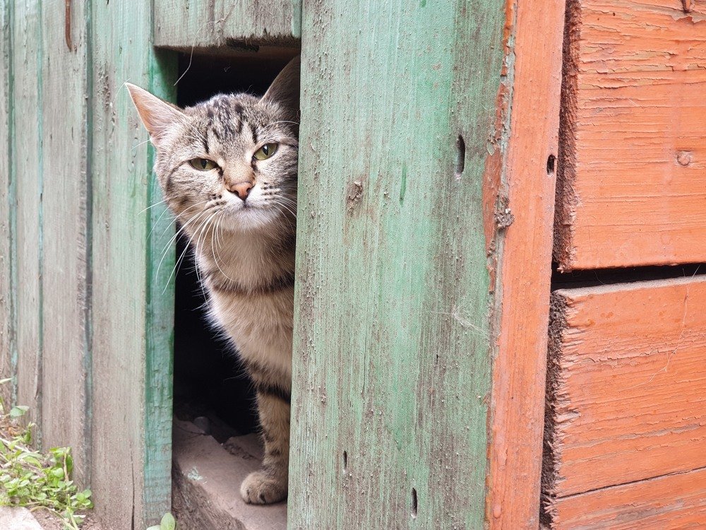 Photograph by Елена Федоткина