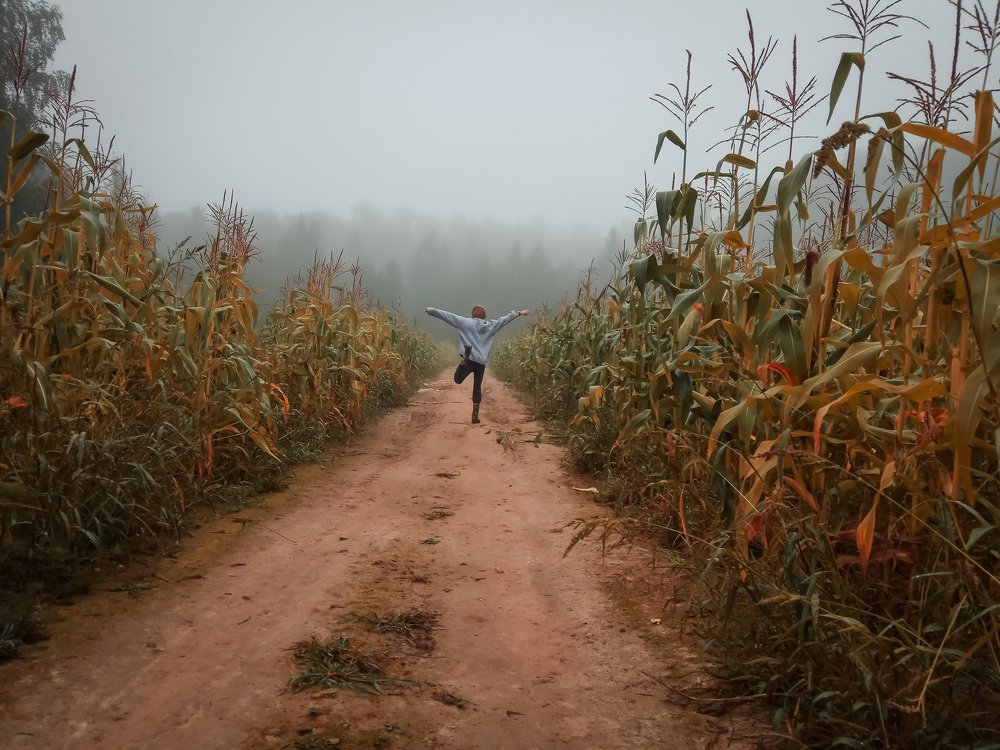 Словно ветер