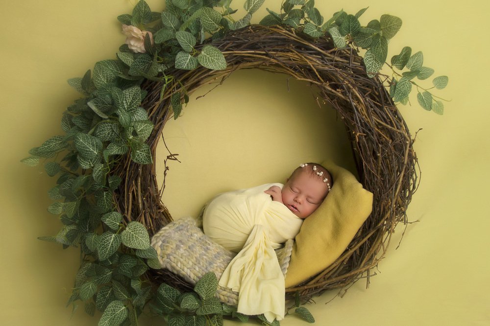 Фотография автора Olga Fedorova