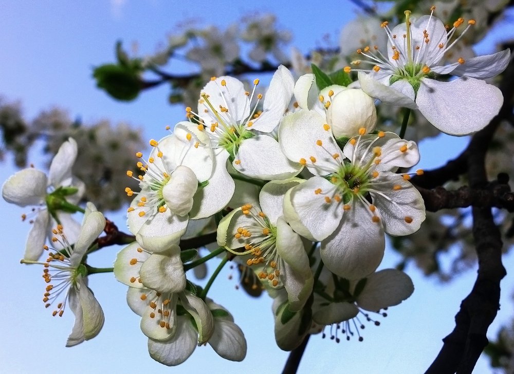 Photograph by IRINA KORNEVA