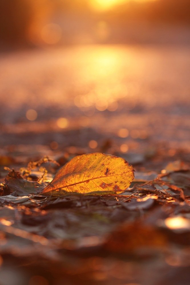 Photograph by Екатерина Фокина