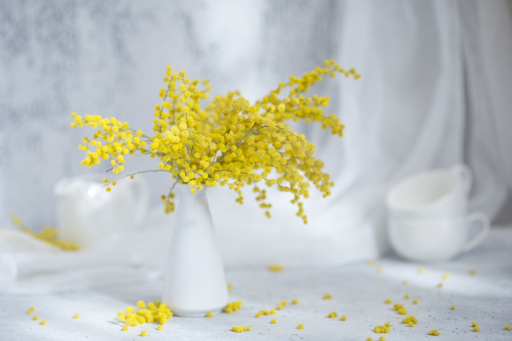 Photograph by Екатерина Фокина