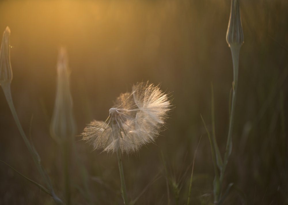Photograph by Екатерина Фокина