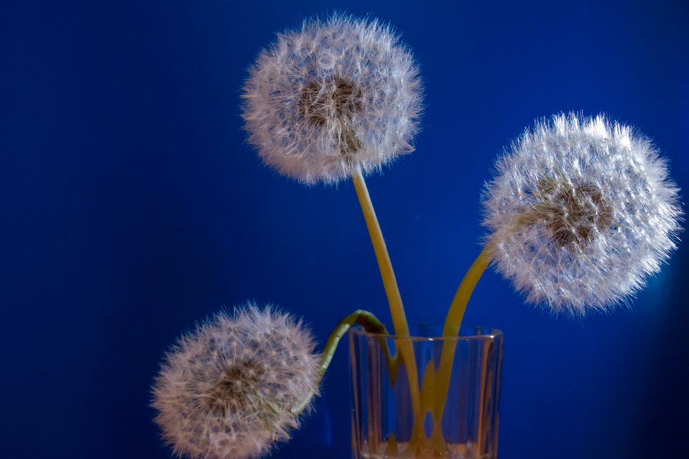 Photograph by Evgeniia Iakimenko