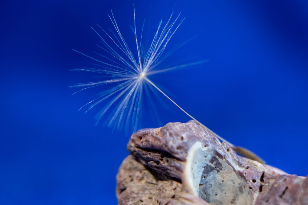 Photograph by Evgeniia Iakimenko