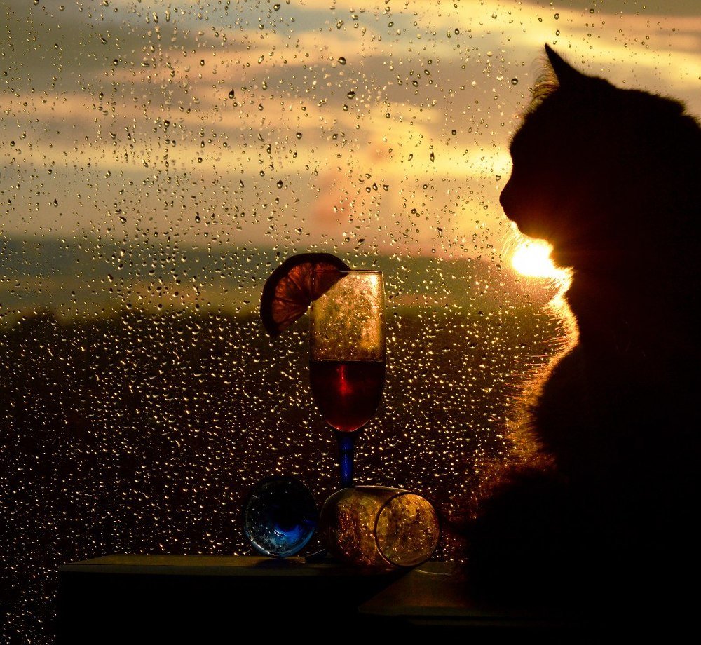 Photograph by Екатерина Корнева