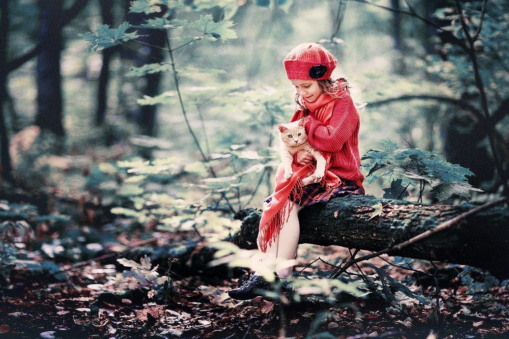 Photograph by Хайруллин Ильдар