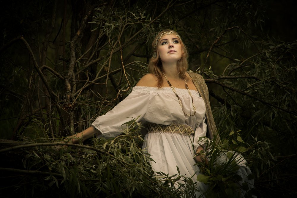 Русская лесная сказка