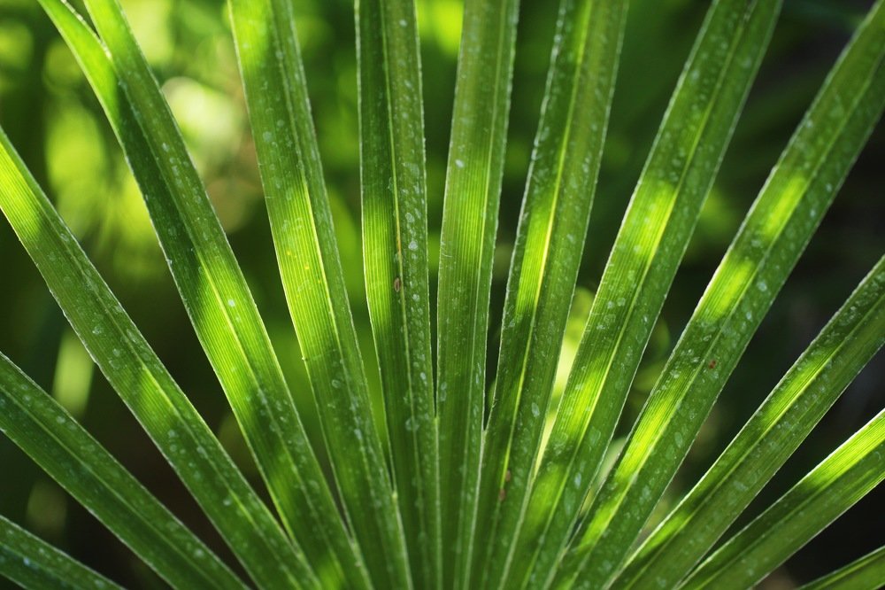 Photograph by Екатерина Фокина