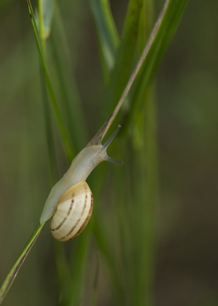 Photograph by Екатерина Фокина
