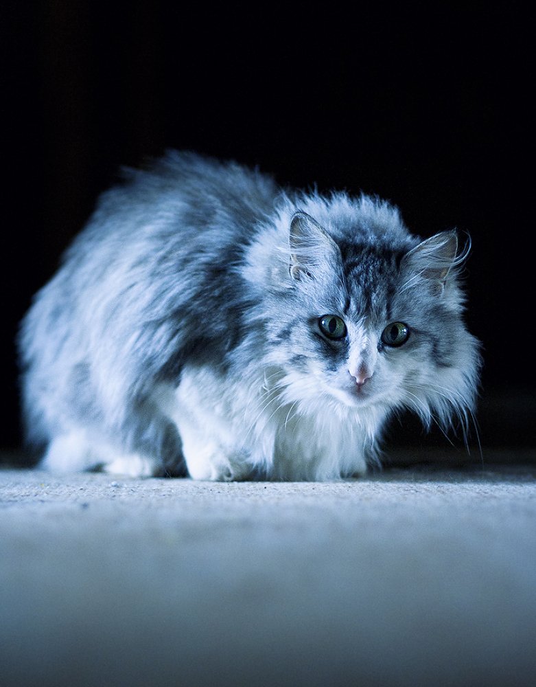 Photograph by Хайруллин Ильдар